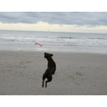 Load image into Gallery viewer, Chuckit! Flying Squirrel για Μεσαίου Μεγέθους Σκύλους