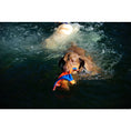 Load image into Gallery viewer, Chuckit! Flying Squirrel για Μεσαίου Μεγέθους Σκύλους